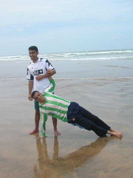 hogra hdi